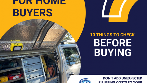 10 plumbing checks before buying a home